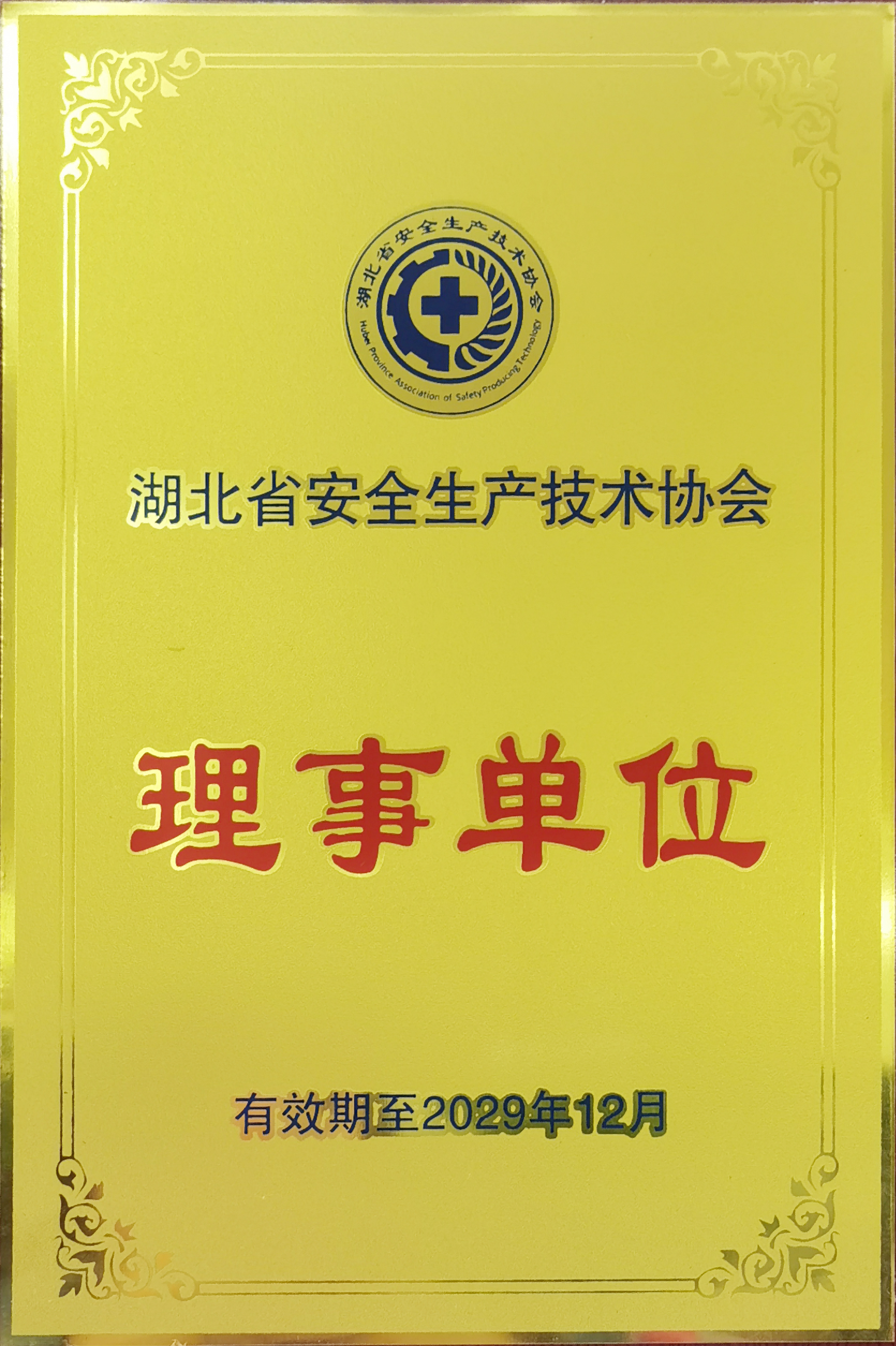 湖北省安全生產(chǎn)協(xié)會理事單位
