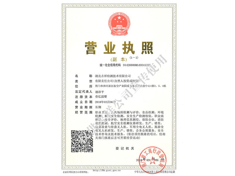 檢測技術(shù)公司營業(yè)執(zhí)照