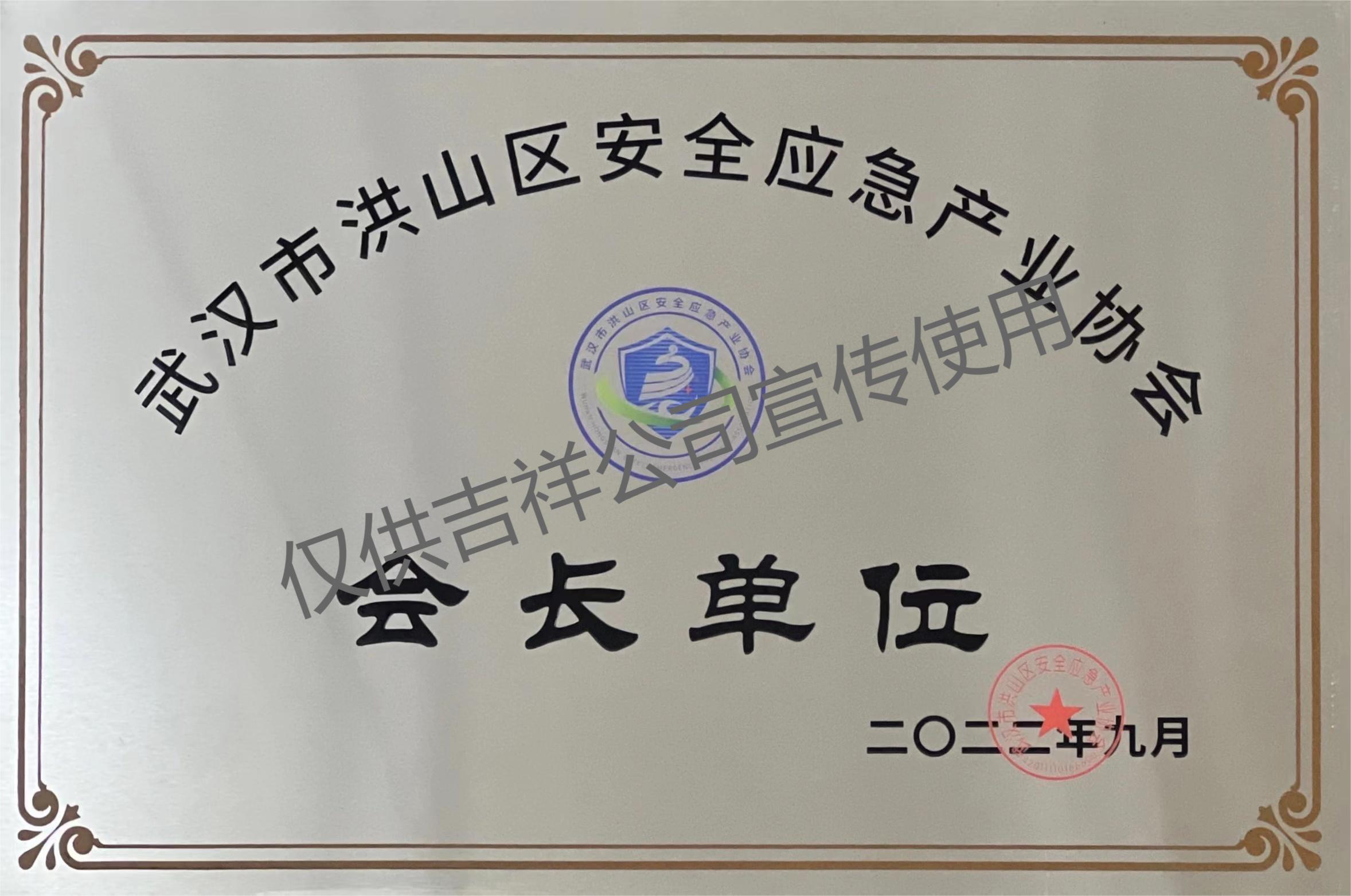 武漢市洪山區(qū)安全應(yīng)急產(chǎn)業(yè)協(xié)會會長單位